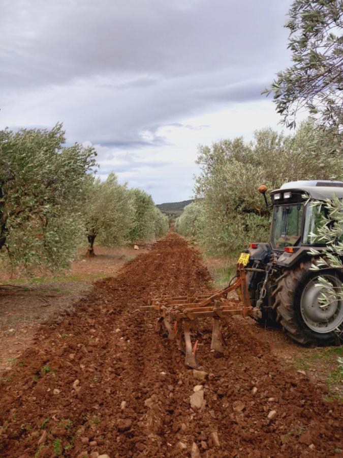 Escale Au Salagou Le Bosc  Buitenkant foto